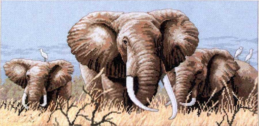 Foto Cross Stitch Kits Classic Design 4365 African elephants
