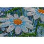 Main Bead Embroidery Kit on Canvas  Abris Art AB-540 Chamomile Etude-1