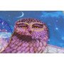 Main Bead Embroidery Kit on Canvas  Abris Art AB-669 On the wings of the night