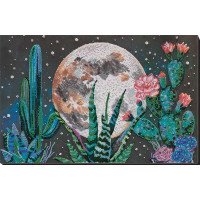 Main Bead Embroidery Kit on Canvas  Abris Art AB-733 Night in the desert