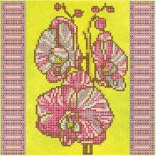 Схема для вышивка бисером  Абрис Арт АС-034 Орхидеи