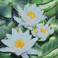 Pattern for beading Abris Art AC-415 Water Lilies
