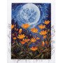 Cross stitch kit Abris Art AH-230 Night contrast