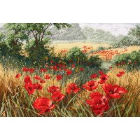Cross Stitch Kits Anchor APC935 A Host Of Poppies