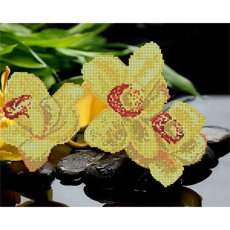 Схема для вишивання бісером А-строчка АК3-045 Жовті орхідеї