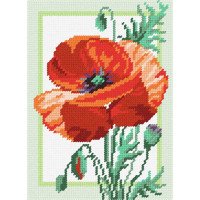 Kit for embroidery yarn on canvas with a pattern Quick Tapestry TD-21 Poppy