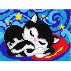 Kit for embroidery yarn on canvas with a pattern Quick Tapestry TD-39 Cat Dreams