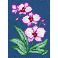 Набор для вышивки пряжей по канве с рисунком Quick Tapestry TD-51 Орхидея