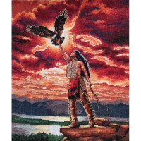 Cross Stitch Kits Classic Design 4547 The gift of the eagle