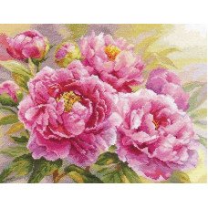 Cross Stitch Kits Classic Design 8356 Bright peonies