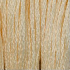 Threads for embroidery CXC 3770 Very Light Tawny