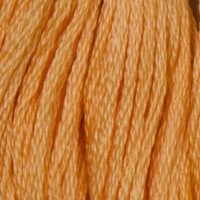 Cotton thread for embroidery DMC 3825 Pale Pumpkin