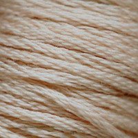 Cotton thread for embroidery DMC 3893 Very Light Mocha Beige