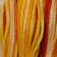 Cotton thread for embroidery DMC 51 Variegated Burnt Orange