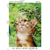 Pattern for beading DANA-193 Kitten in the web