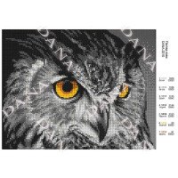 Pattern beading DANA-2210 Owl Look