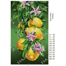Cхема для вышивки бисером  ДАНА-2335 Лимоны