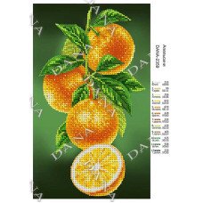 Cхема для вышивки бисером  ДАНА-2359 Апельсин