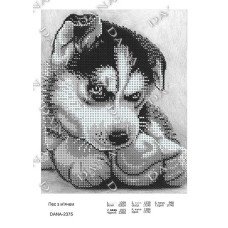 Cхема для вышивки бисером  ДАНА-2375 Собака с мячом
