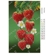 Pattern beading DANA-2440 Strawberry