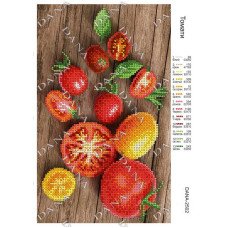 Pattern beading DANA-2502 Tomatoes