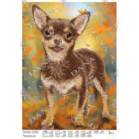 Cхема для вышивки бисером  ДАНА-2590 Чихуахуа