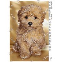 Pattern beading DANA-2592 Maltipoo