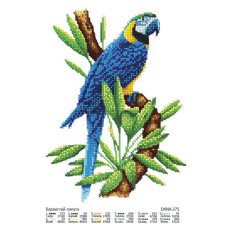 Cхема для вышивки бисером  ДАНА-275 Красочный попугай