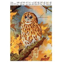 Pattern beading DANA-280 Owl