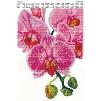 Cхема для вышивки бисером  ДАНА-292 Орхидея
