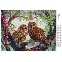 Pattern beading DANA-3119 Owl