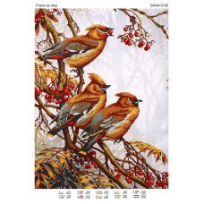 Cхема для вышивки бисером  ДАНА-3120 Птицы на ветке