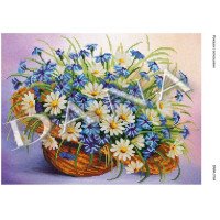 Pattern beading DANA-3164 Daisies with cornflowers