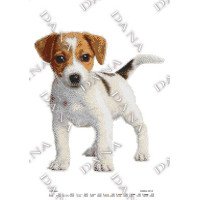 Pattern beading DANA-3212 Jack Russell Terrier