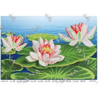 Pattern beading DANA-3245 Water lilies