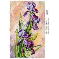 Pattern beading DANA-3247 Field irises