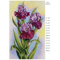 Pattern beading DANA-348 Irises