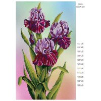 Pattern beading DANA-349 Irises
