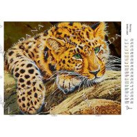 Pattern beading DANA-3584 Leopard
