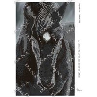 Cхема для вышивки бисером  ДАНА-3586 Черная лошадь