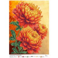 Pattern beading DANA-3715 Beautiful Dahlias