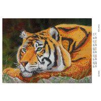 Схема для вишивання бісером ДАНА-379 Спокій тигра