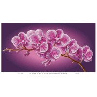 Cхема для вышивки бисером  ДАНА-512 Ветка орхидеи