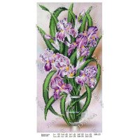 Pattern beading DANA-5132 Fairy irises