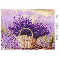 Pattern beading DANA-820 Lavender in a basket
