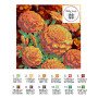 Сумка шоппер для вишивки бісером ДАНА ШП-24