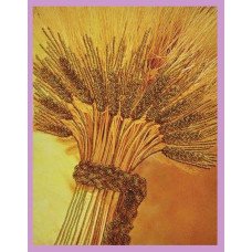 Набор вышивки бисером Картины Бисером Р-064  Золотой урожай