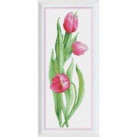 Cross Stitch Kits OLanTА VN-050 Pink tulips