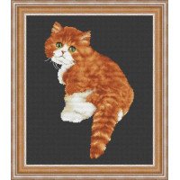 Набір для вишивання хрестиком OLanTА VN-177 Милашка кіт