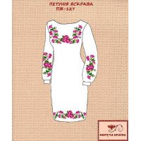 Blank embroidered dress Kvitucha Krayna PZH-127 Petunia bright